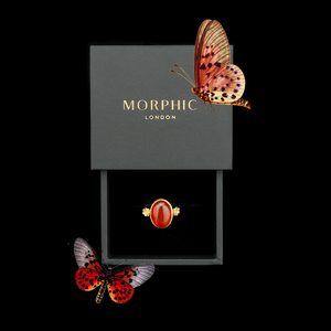 Morphic Gift ideas